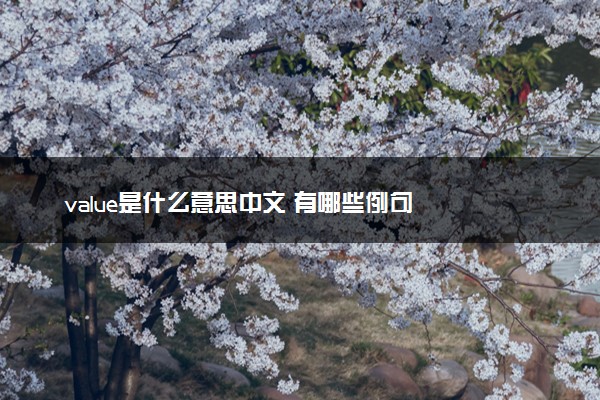 value是什么意思中文 有哪些例句