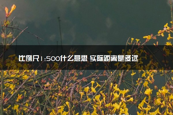 比例尺1:500什么意思 实际距离是多远