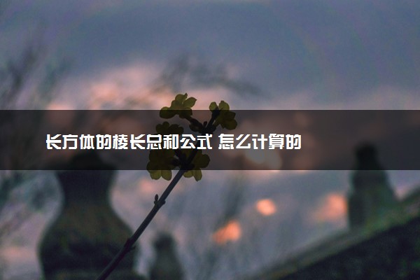 长方体的棱长总和公式 怎么计算的