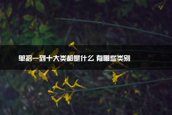 单招一到十大类都是什么 有哪些类别