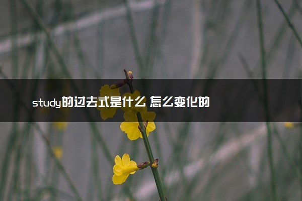 study的过去式是什么 怎么变化的