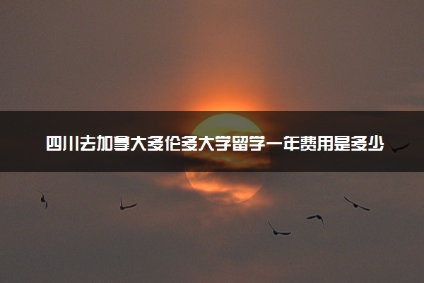 四川去加拿大多伦多大学留学一年费用是多少