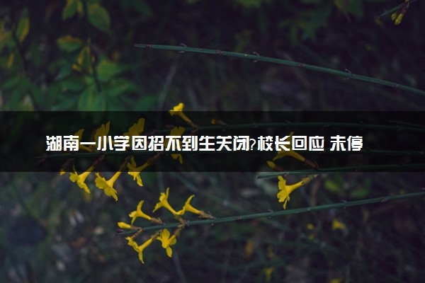 湖南一小学因招不到生关闭?校长回应 未停止办学