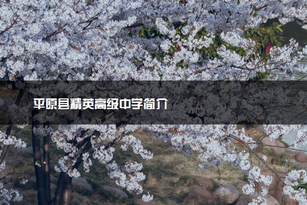平原县精英高级中学简介