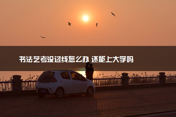 书法艺考没过线怎么办 还能上大学吗
