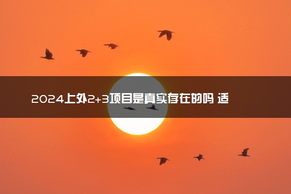 2024上外2+3项目是真实存在的吗 适合哪些人报考