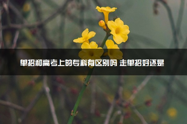 单招和高考上的专科有区别吗 走单招好还是高考好
