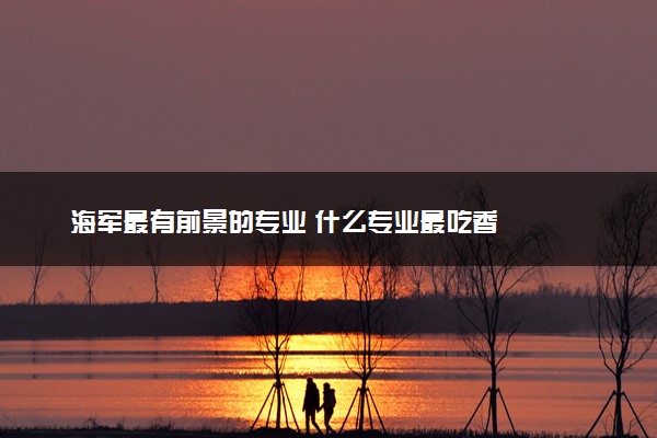 海军最有前景的专业 什么专业最吃香