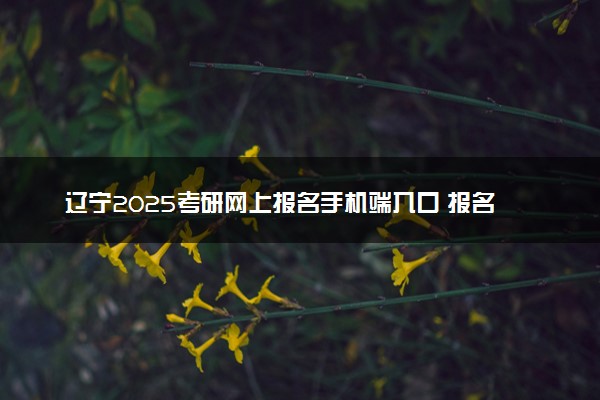 辽宁2025考研网上报名手机端入口 报名流程是什么