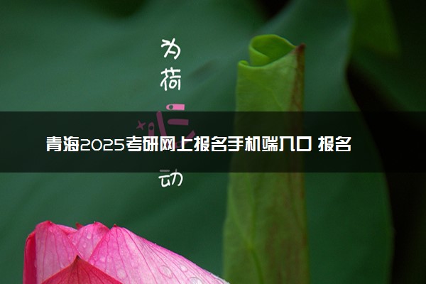 青海2025考研网上报名手机端入口 报名流程是什么
