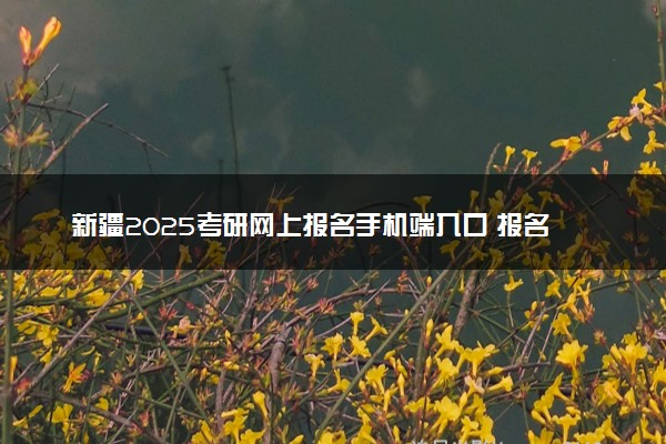 新疆2025考研网上报名手机端入口 报名流程是什么