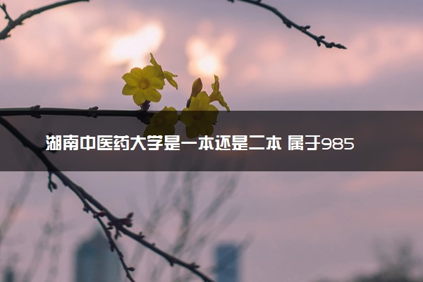 湖南中医药大学是一本还是二本 属于985吗