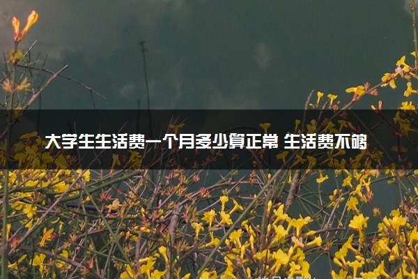 大学生生活费一个月多少算正常 生活费不够用怎么办