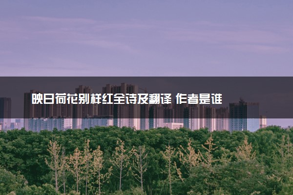 映日荷花别样红全诗及翻译 作者是谁