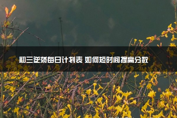 初三逆袭每日计划表 如何短时间提高分数