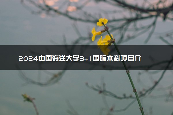 2024中国海洋大学3+1国际本科项目介绍 有哪些办学优势