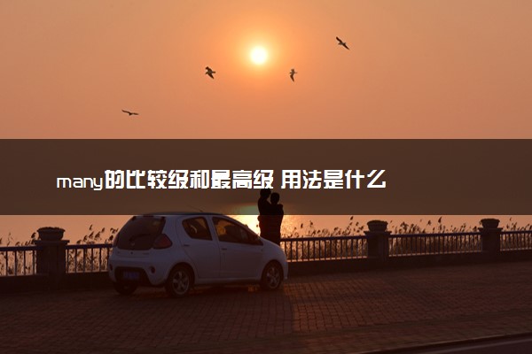 many的比较级和最高级 用法是什么