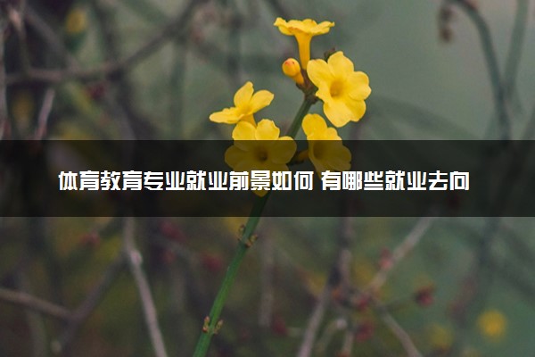 体育教育专业就业前景如何 有哪些就业去向