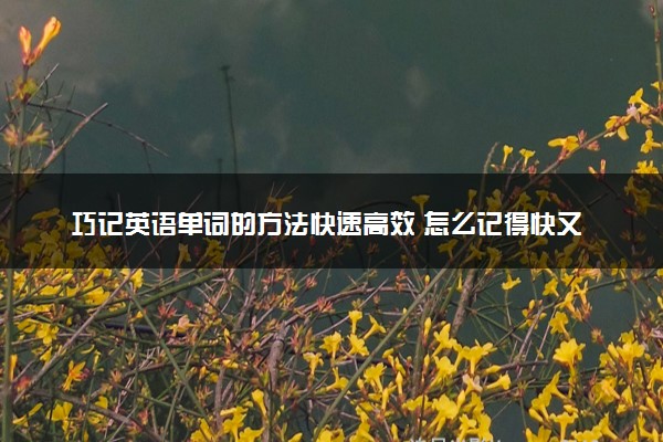 巧记英语单词的方法快速高效 怎么记得快又牢