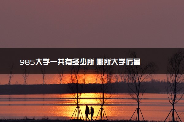 985大学一共有多少所 哪所大学厉害