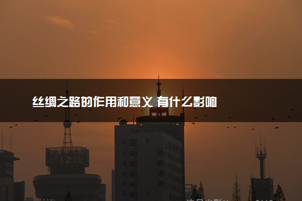 丝绸之路的作用和意义 有什么影响