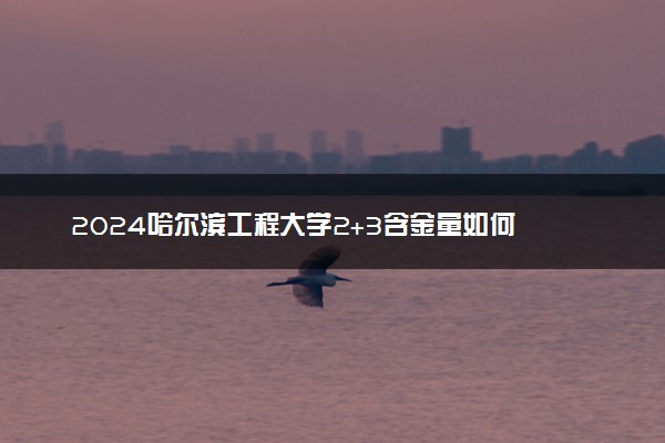 2024哈尔滨工程大学2+3含金量如何 有什么优势