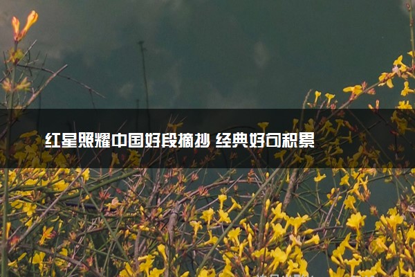 红星照耀中国好段摘抄 经典好句积累