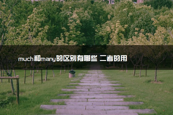 much和many的区别有哪些 二者的用法是什么