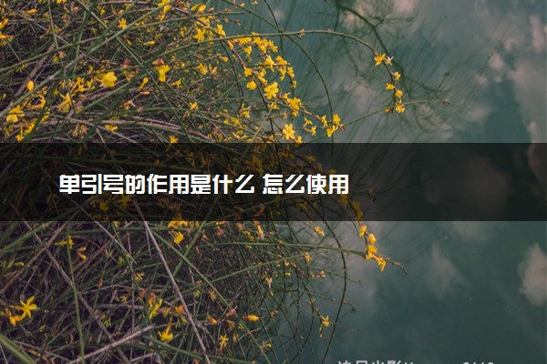 单引号的作用是什么 怎么使用