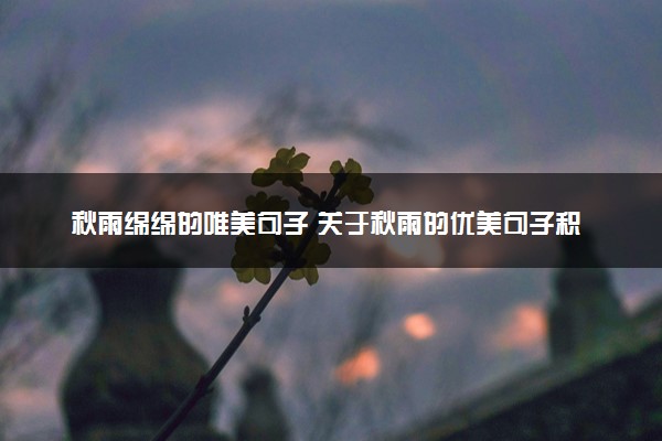 秋雨绵绵的唯美句子 关于秋雨的优美句子积累