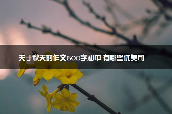 关于秋天的作文600字初中 有哪些优美句子