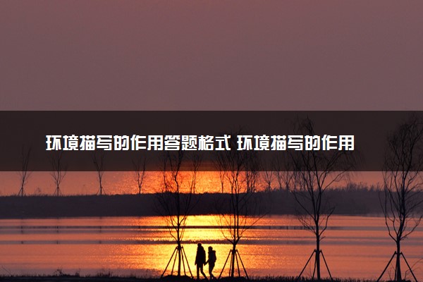 环境描写的作用答题格式 环境描写的作用