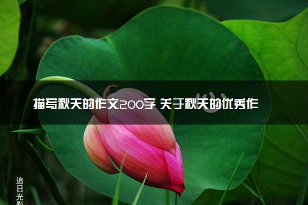 描写秋天的作文200字 关于秋天的优秀作文