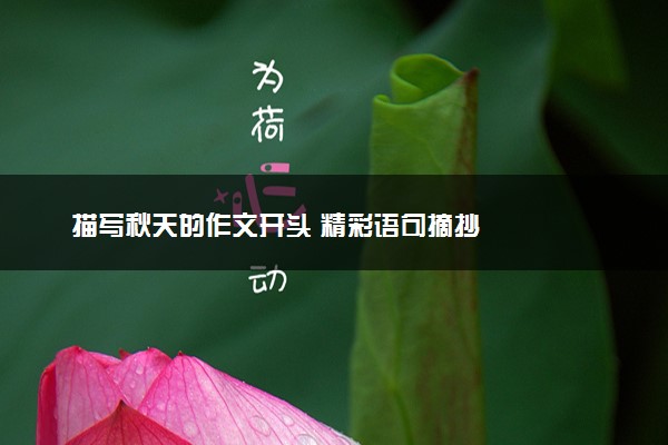 描写秋天的作文开头 精彩语句摘抄