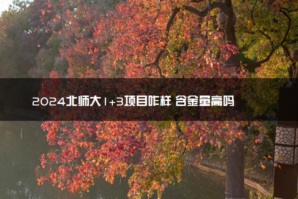 2024北师大1+3项目咋样 含金量高吗