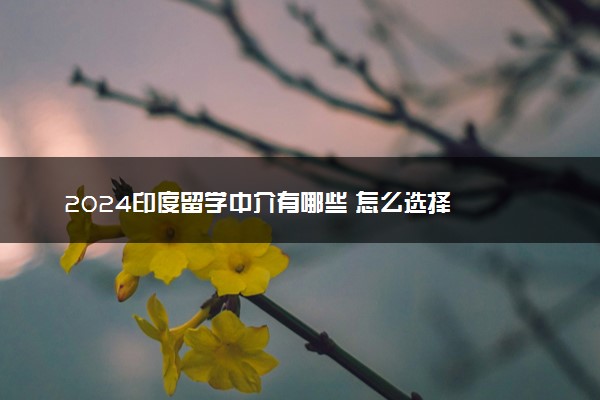 2024印度留学中介有哪些 怎么选择