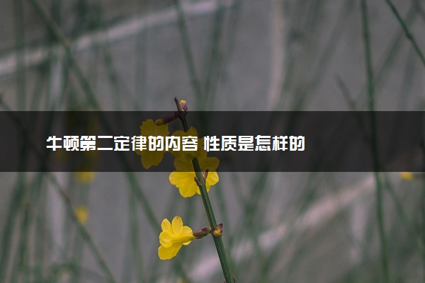 牛顿第二定律的内容 性质是怎样的