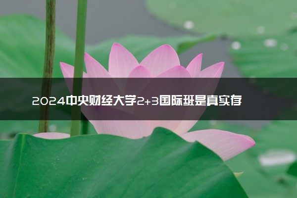 2024中央财经大学2+3国际班是真实存在的吗 含金量咋样
