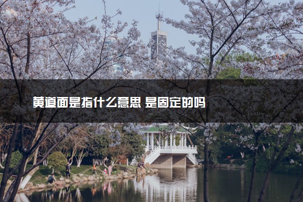 黄道面是指什么意思 是固定的吗