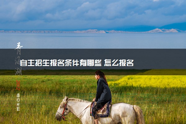 自主招生报名条件有哪些 怎么报名