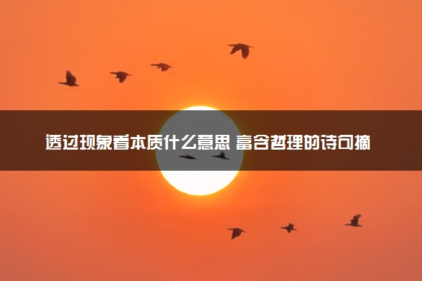 透过现象看本质什么意思 富含哲理的诗句摘抄