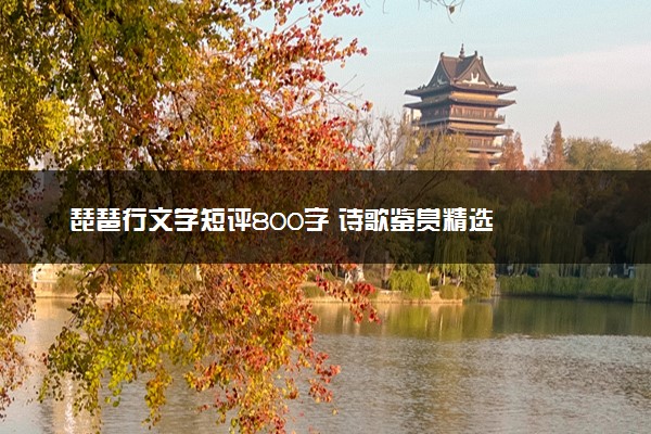 琵琶行文学短评800字 诗歌鉴赏精选