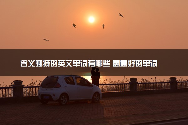 含义独特的英文单词有哪些 寓意好的单词