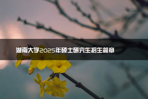 湖南大学2025年硕士研究生招生简章