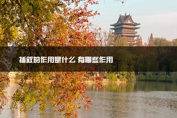 插叙的作用是什么 有哪些作用
