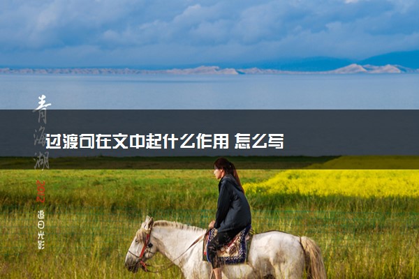 过渡句在文中起什么作用 怎么写