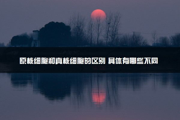 原核细胞和真核细胞的区别 具体有哪些不同