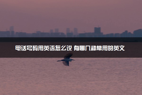 电话号码用英语怎么说 有哪几种常用的英文形式