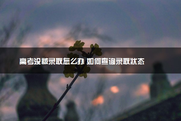 高考没被录取怎么办 如何查询录取状态