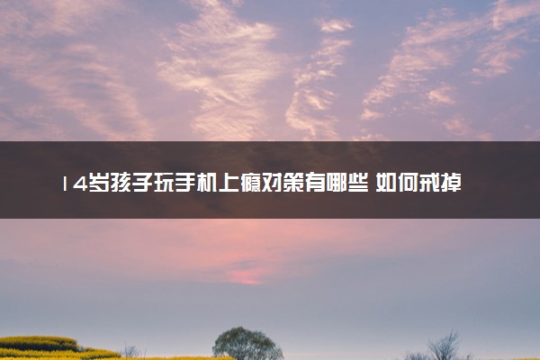 14岁孩子玩手机上瘾对策有哪些 如何戒掉玩手机的习惯